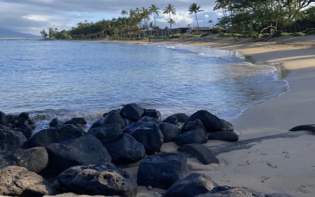 Tropical Oasis 2 Bedroom Condo by RedAwning