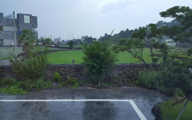 Oh Happy Day Jeju