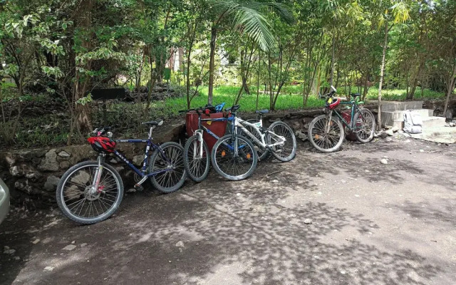 Shamba Hostel