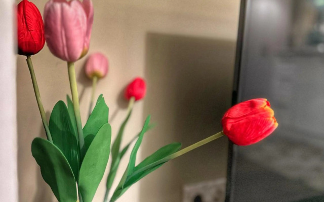 Luxury studio near New Bulgarian University