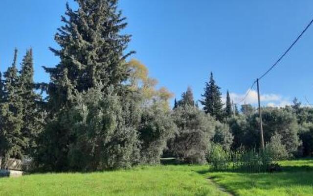 Flat 1 Bedroom 1 Bathroom - Patras