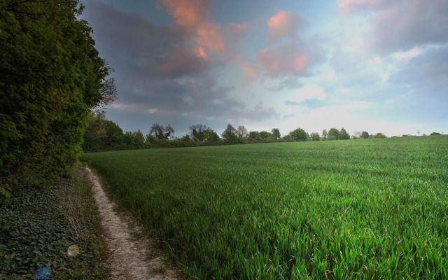 Best Western Andover Hotel