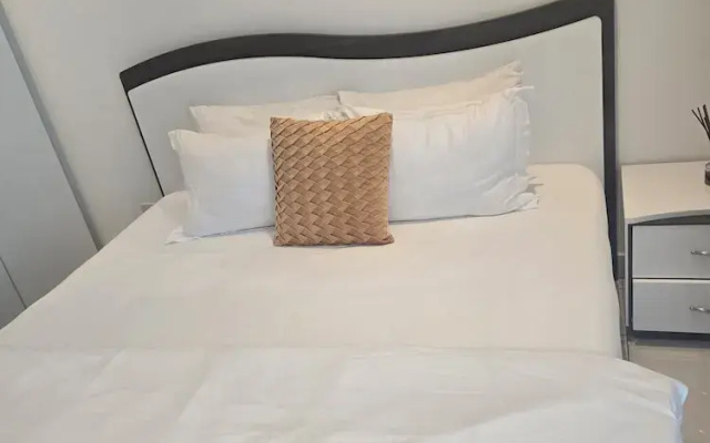 premier luxury apartment
