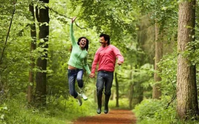 Banasura Hill Resort