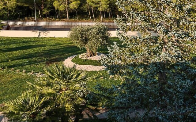 Opera Don Vincenzo Grossi