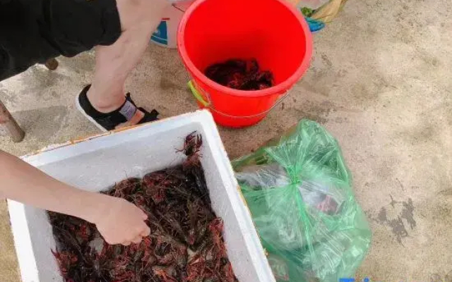 Huzhou Mogan · Muwuju