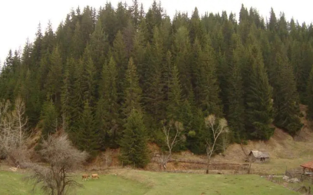 Kuma Lissa Guest House