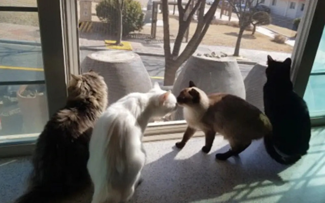 Gyeongju Pyeonggwanhun Guest House