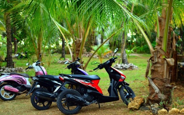 Toris Backpackers Paradise