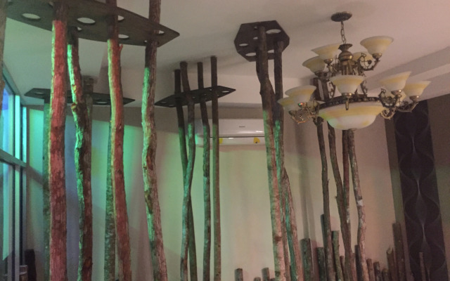 Rainforest Budget Stay
