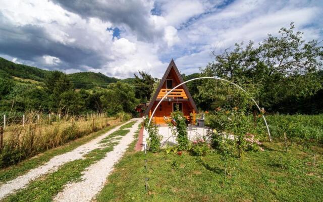 Pyramid Energy House