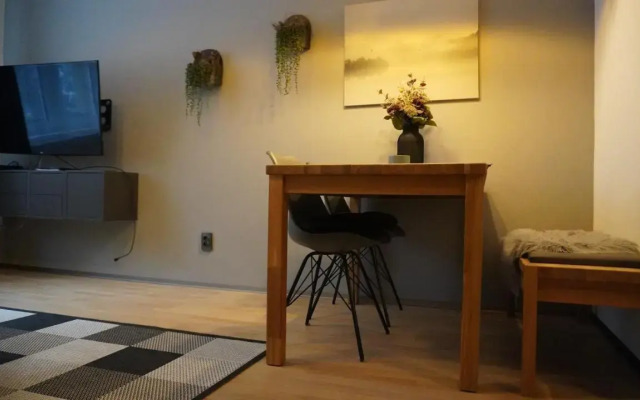 Apartmán Sněžka