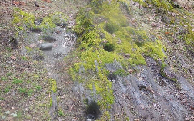 Yosemite Paradise Inn