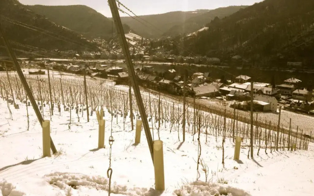 relactive-mosel Feriendomizil