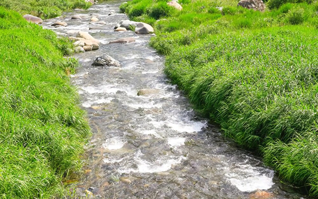 Yangsan Bene Maru Pension