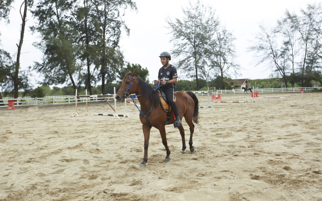 Terengganu Equestrian Resort