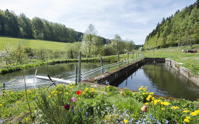 Apartment in Schonsee Near Lake Beach