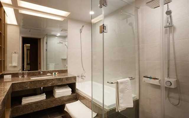 Sejong City Osong Hotel