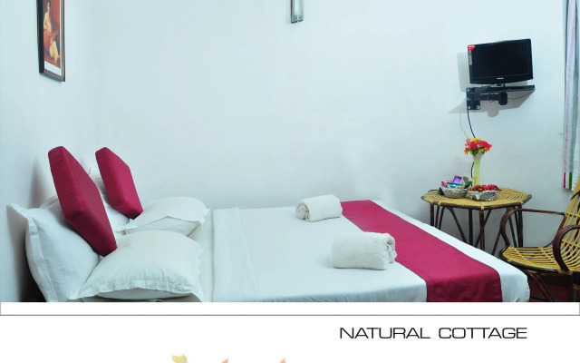 Punarjani Ayurvedic Resorts