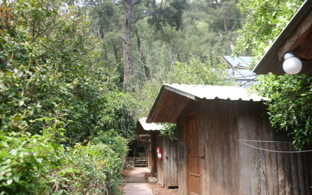 Olympos Orange