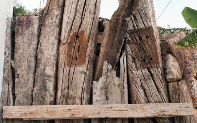 Kikonia Art & Suites