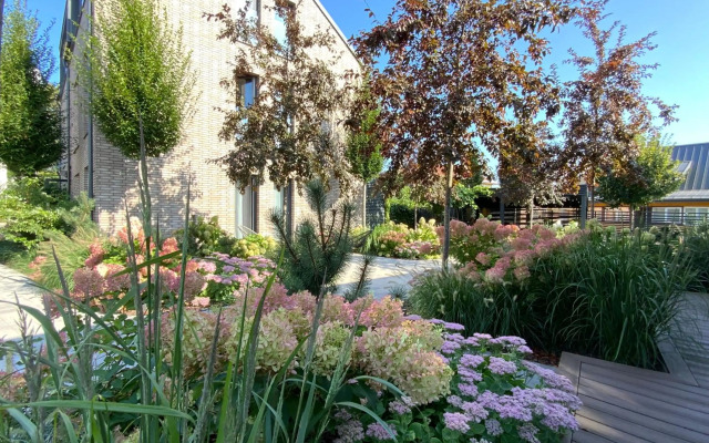 Salt Garden Superior double rooms