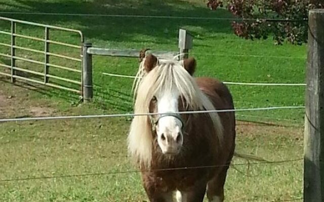 Living Spring Farm Bed & Breakfast