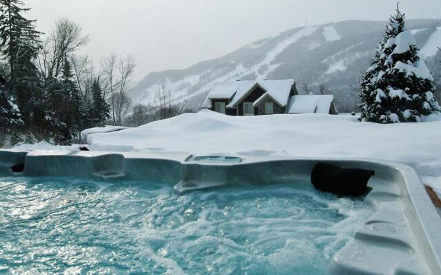 Chalets Alpins - 19 Chemin Blanc