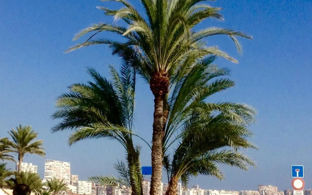 Apartamentos Torre Alacant