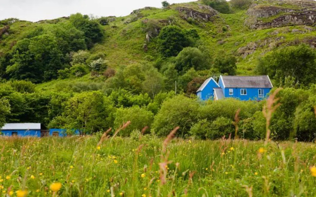 The Snowdon Inn - Y Fricsan