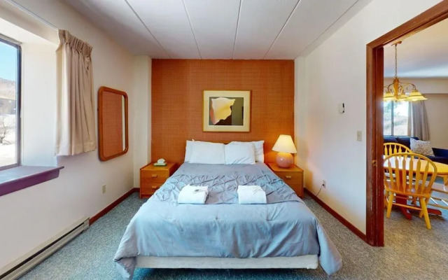 Mt Green 2-e06 in Killington