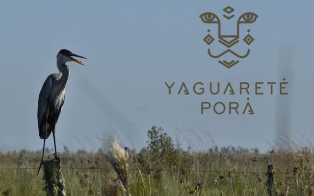 Yaguareté Porá