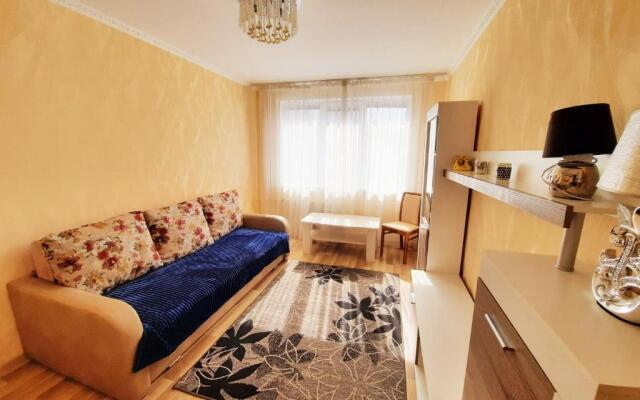 Apartment on Dzenu Street