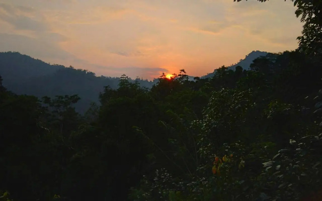Rainforest Nature House