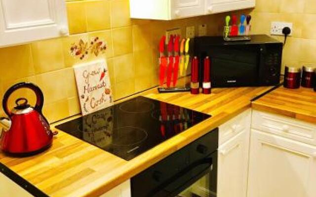 Glasgow City Centre Flat with River Views and Parking