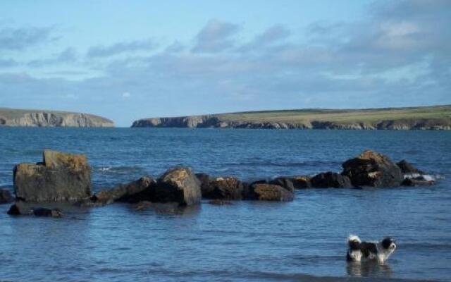 Teifi Netpool