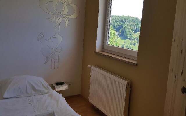 Apartments Plevnik