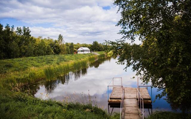 Подсолнухи