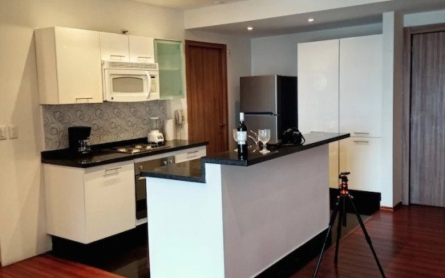 Beautiful Apartment In Plaza Residence Reforma