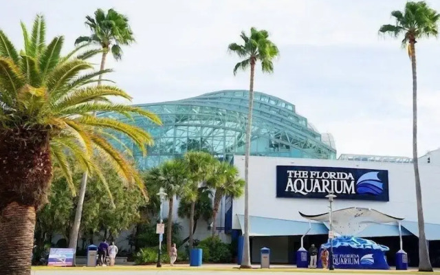 Amazing House relax Near Raymond Stadium