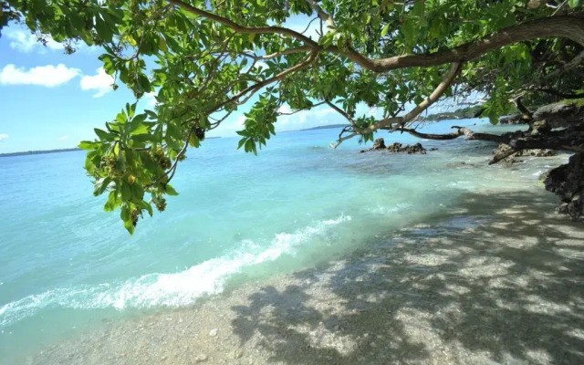Hidden Cove Eco Retreat