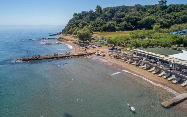 Fiore Beach Studios