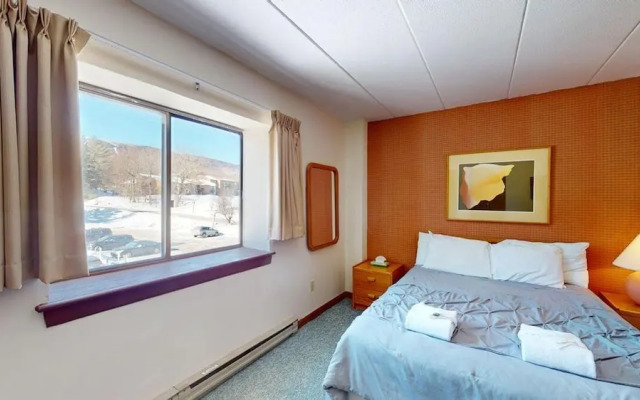 Mt Green 2-e06 in Killington