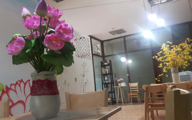 Dream Box Hostel