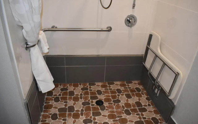 Microtel Inn & Suites by Wyndham Stockbridge/Atlanta I-75