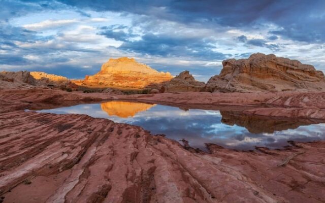 The Sunnyside Haven by RedAwning