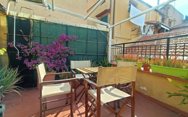 Delle Erbe The Nightlife