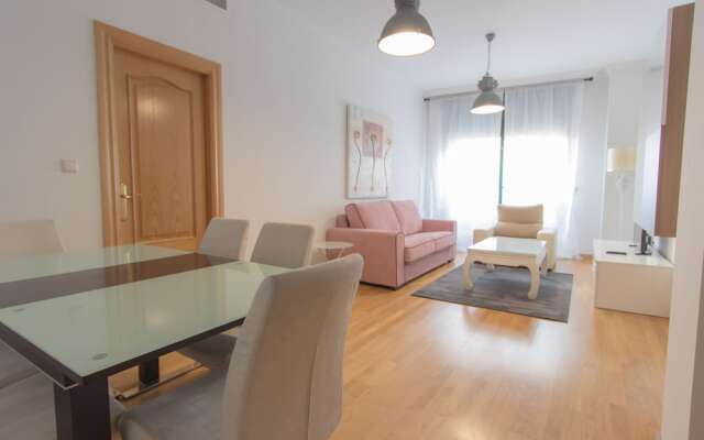 Apartamentos Recogidas 10