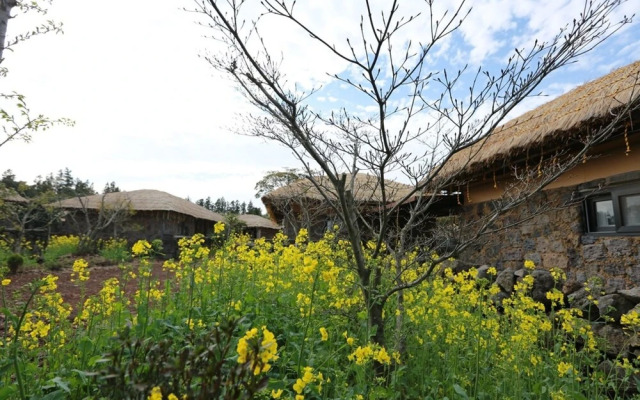 Seogwipo Chogain inn Guest House