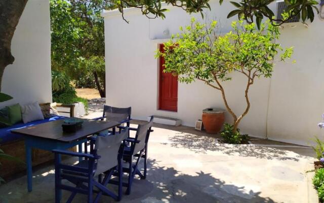 Almond trees house